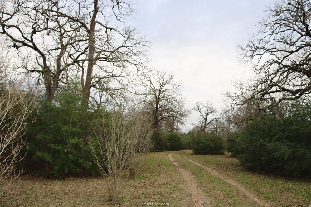 10097 John Rice Drive , Iola, TX, 77861 | 19000601 | Realty Texas LLC