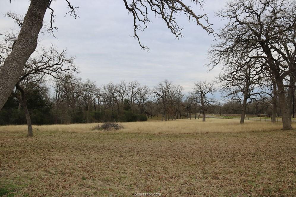 10097 John Rice Drive , Iola, TX, 77861 | 19000601 | Realty Texas LLC