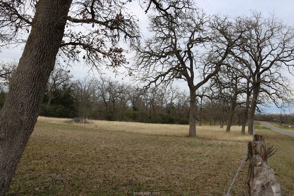 10097 John Rice Drive , Iola, TX, 77861 | 19000601 | Realty Texas LLC