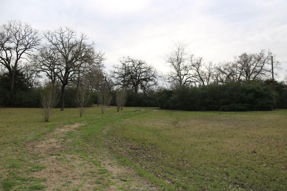 10097 John Rice Drive , Iola, TX, 77861 | 19000601 | Realty Texas LLC