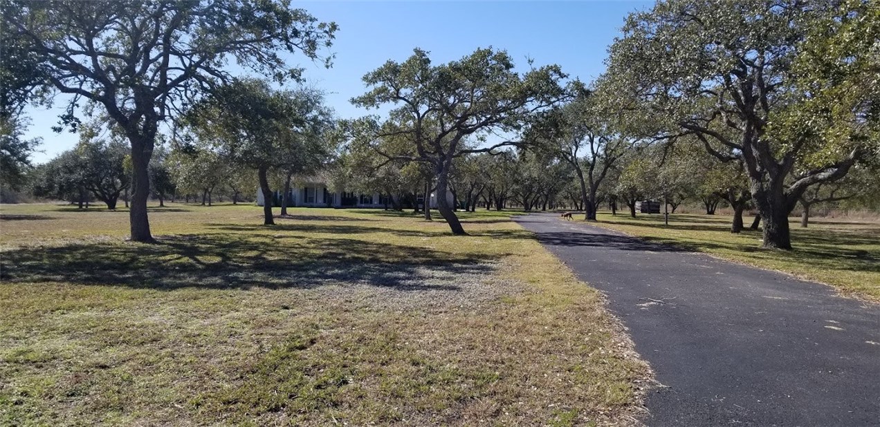 833 W Rhodes Avenue , Aransas Pass, TX, 78336 | 339417 | Realty Texas LLC