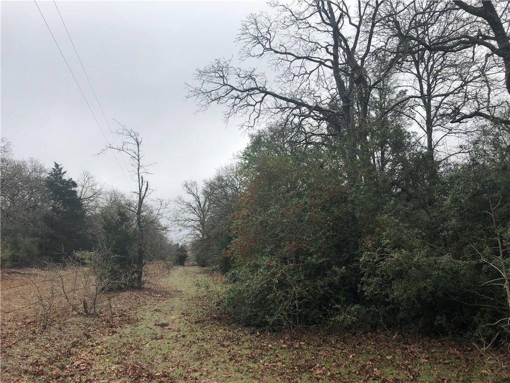 1449 County Road 457 , Thorndale, TX, 76577 | 2441162 | Realty Texas LLC