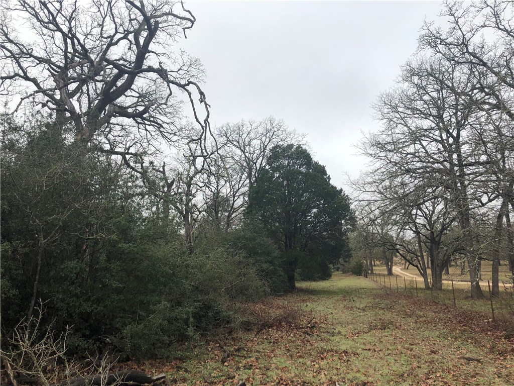 1449 County Road 457 , Thorndale, TX, 76577 | 2441162 | Realty Texas LLC