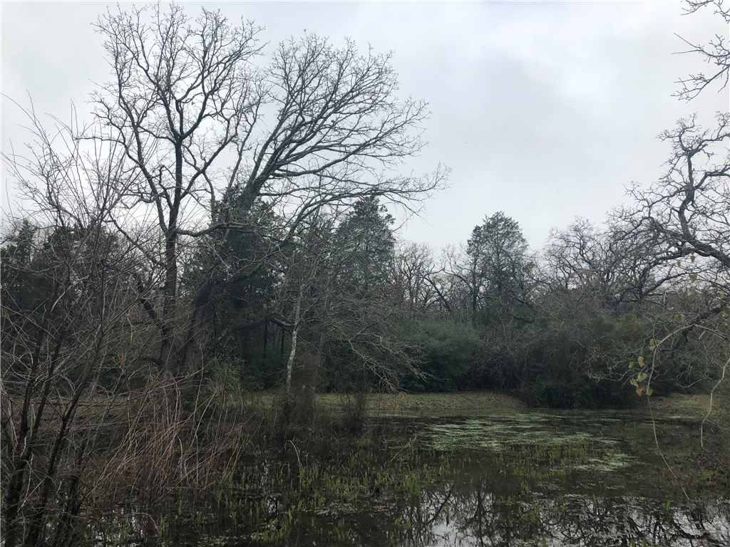 1449 County Road 457 , Thorndale, TX, 76577 | 2441162 | Realty Texas LLC