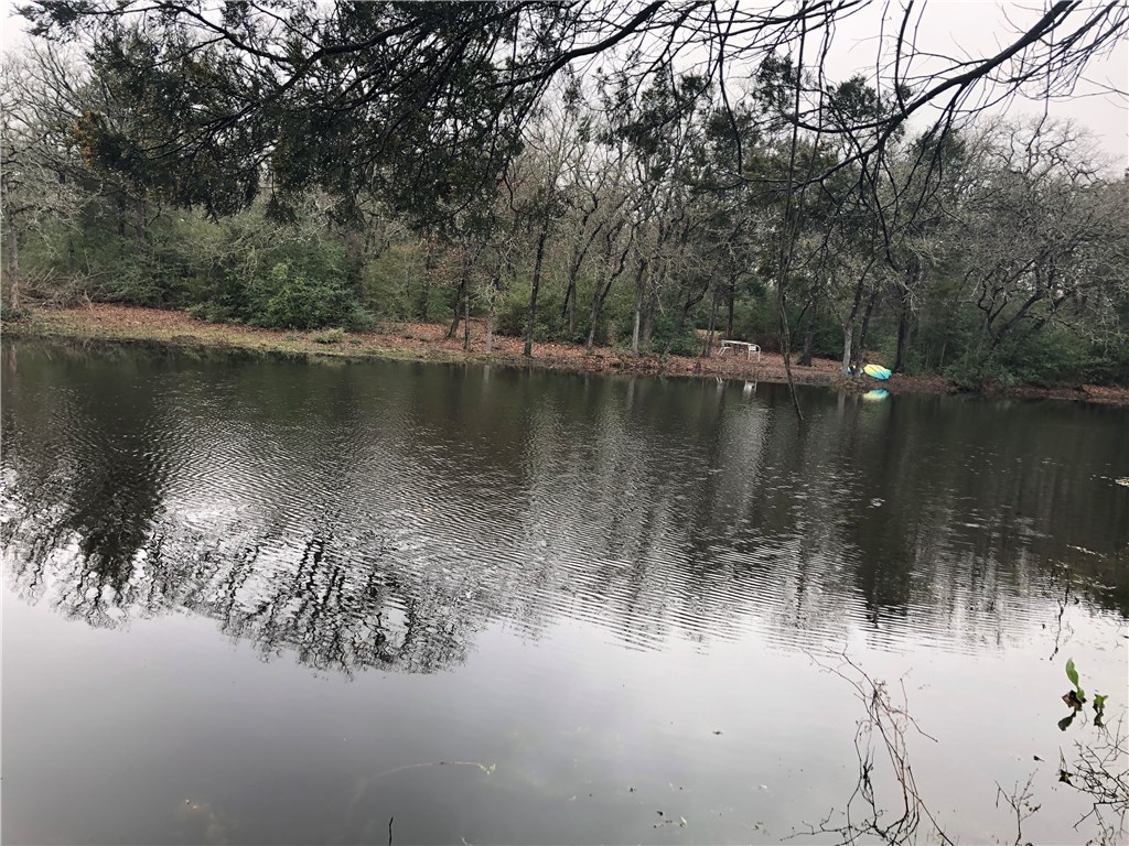 1449 County Road 457 , Thorndale, TX, 76577 | 2441162 | Realty Texas LLC