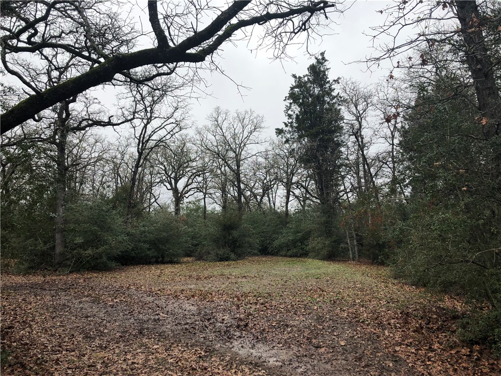 1449 County Road 457 , Thorndale, TX, 76577 | 2441162 | Realty Texas LLC