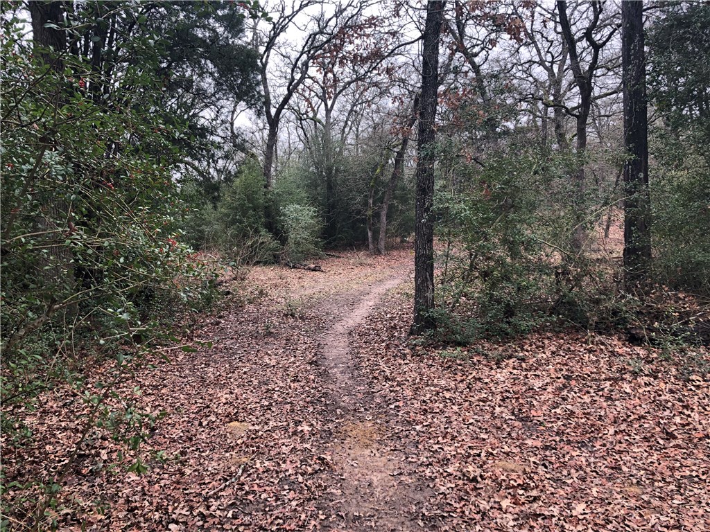 1449 County Road 457 , Thorndale, TX, 76577 | 2441162 | Realty Texas LLC