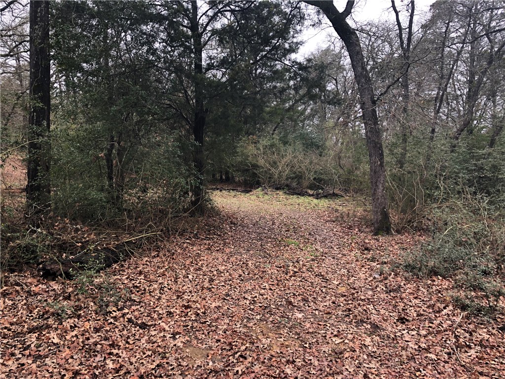 1449 County Road 457 , Thorndale, TX, 76577 | 2441162 | Realty Texas LLC