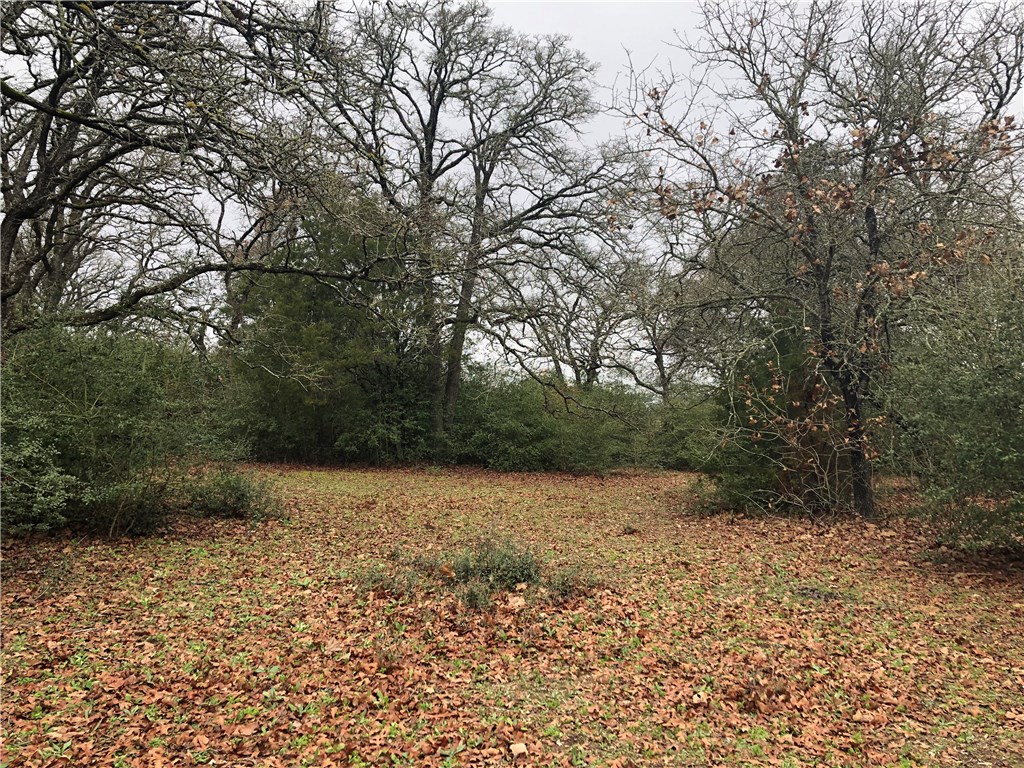 1449 County Road 457 , Thorndale, TX, 76577 | 2441162 | Realty Texas LLC