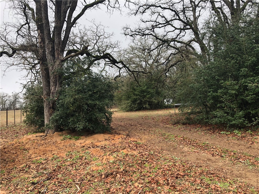 1449 County Road 457 , Thorndale, TX, 76577 | 2441162 | Realty Texas LLC