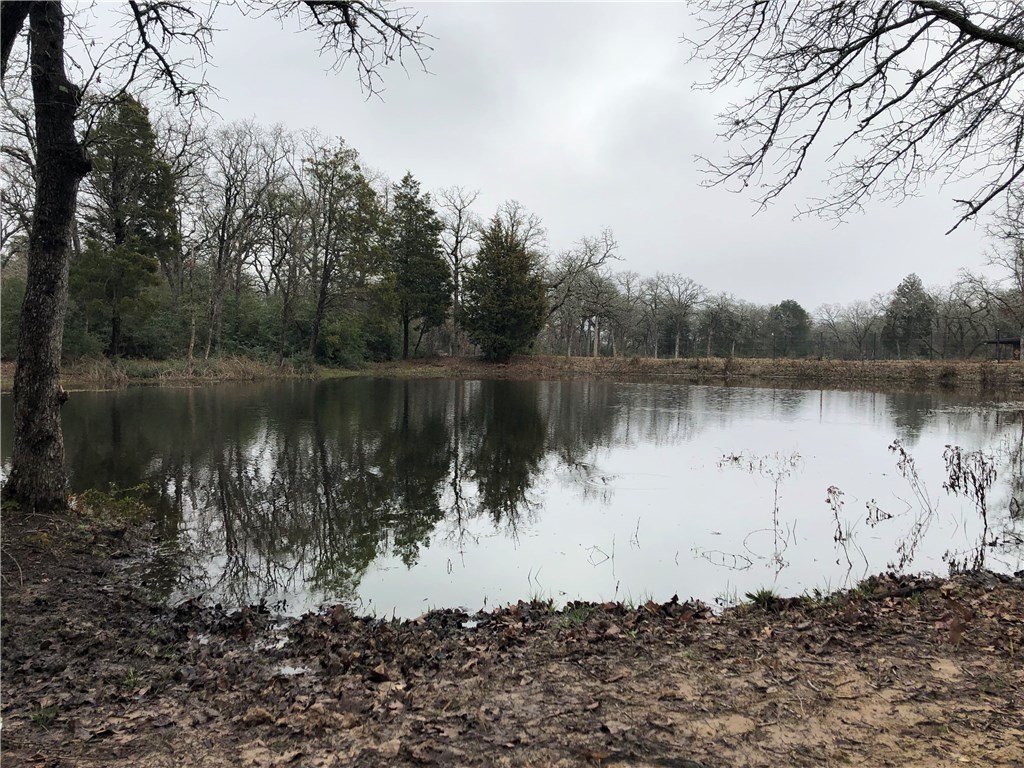 1449 County Road 457 , Thorndale, TX, 76577 | 2441162 | Realty Texas LLC