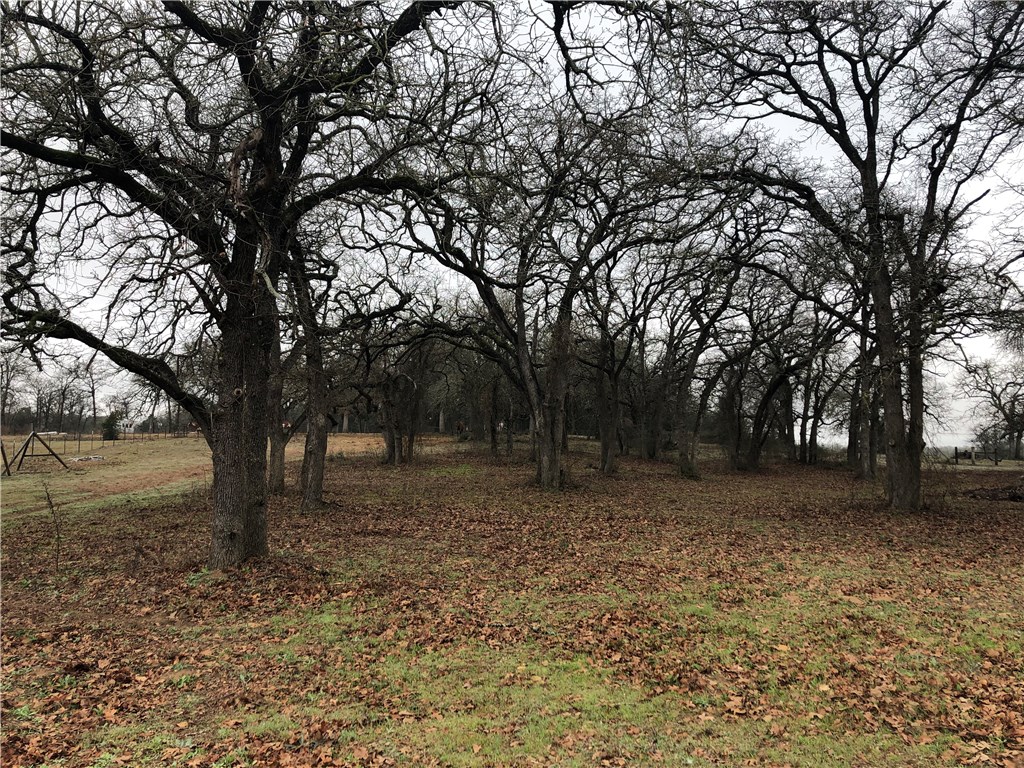 1449 County Road 457 , Thorndale, TX, 76577 | 2441162 | Realty Texas LLC