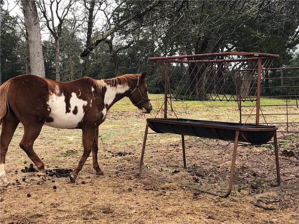 1449 County Road 457 , Thorndale, TX, 76577 | 2441162 | Realty Texas LLC