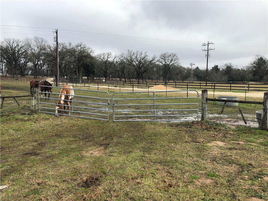 1449 County Road 457 , Thorndale, TX, 76577 | 2441162 | Realty Texas LLC