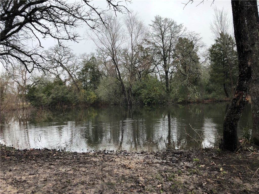 1449 County Road 457 , Thorndale, TX, 76577 | 2441162 | Realty Texas LLC
