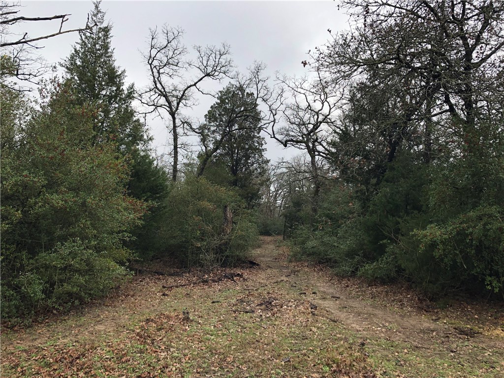 1449 County Road 457 , Thorndale, TX, 76577 | 2441162 | Realty Texas LLC