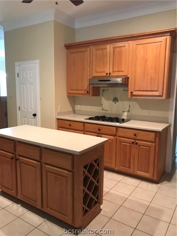 1602 Cougar Court 1 , College Station, TX, 77840 | 19001996 | Realty Texas LLC