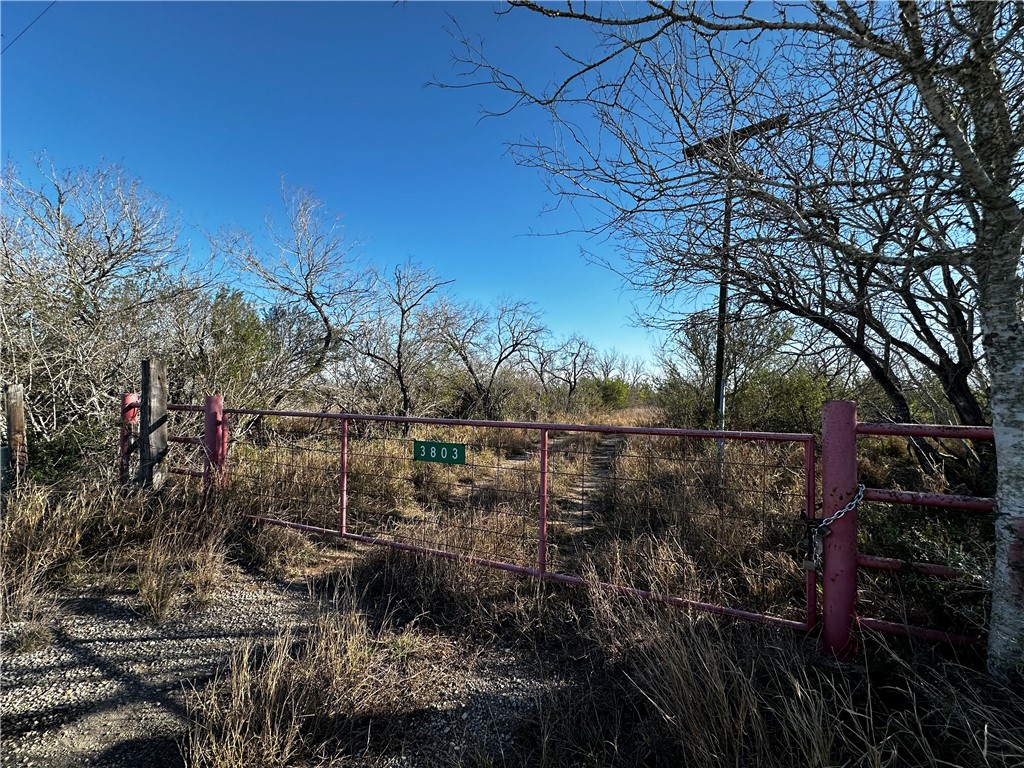 3803 FM 716 , Realitos, TX, 78376 | 340645 | Realty Texas LLC