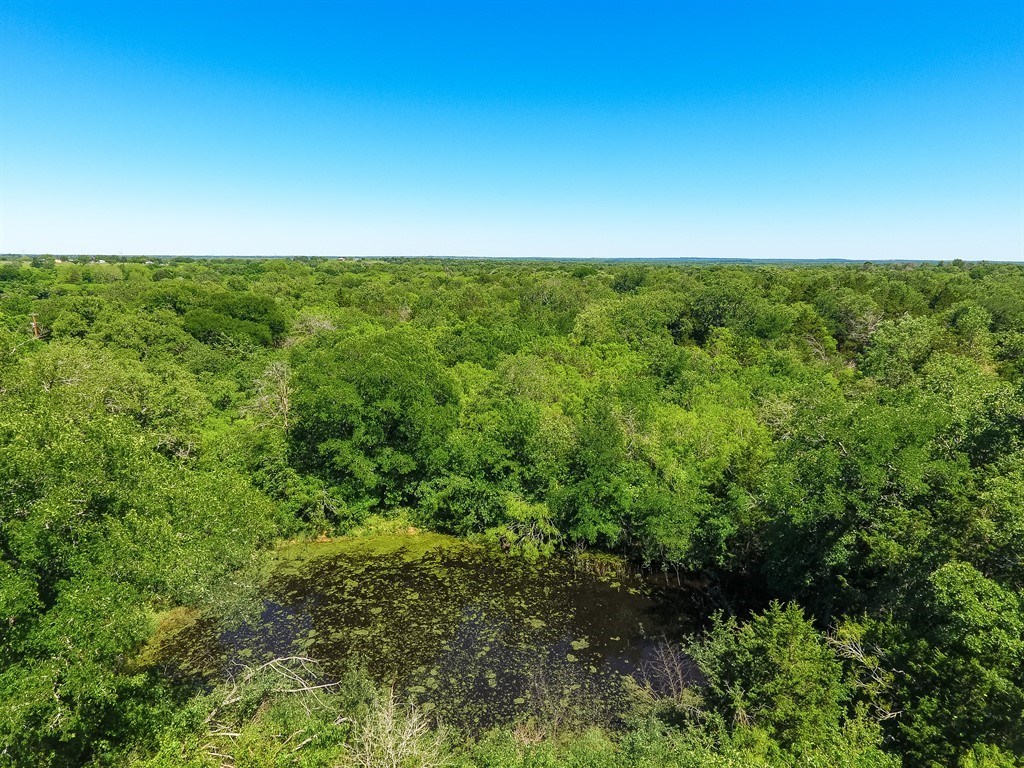 000 Carter Road, Dale, TX, 78616 | 6968313 | Realty Texas LLC
