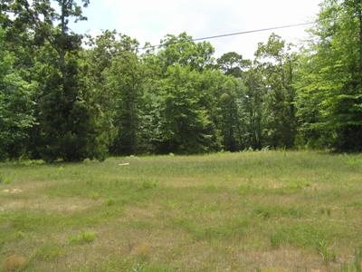 TBD FM 3126 and Hwy 190 W, Livingston, TX, 77351 | 26210121 | Realty Texas LLC