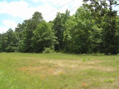 TBD FM 3126 and Hwy 190 W, Livingston, TX, 77351 | 26210121 | Realty Texas LLC
