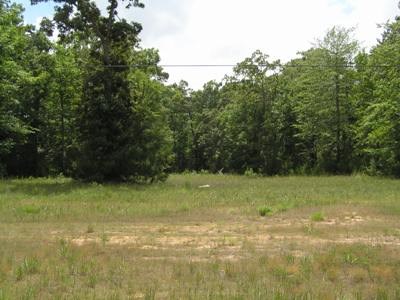 TBD FM 3126 and Hwy 190 W, Livingston, TX, 77351 | 26210121 | Realty Texas LLC