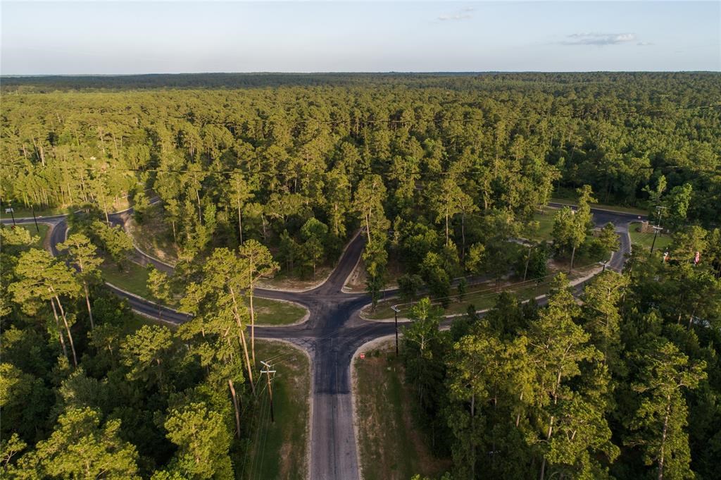 00 Sundog Road, Huntsville, TX, 77340 | 46931160 | Realty Texas LLC