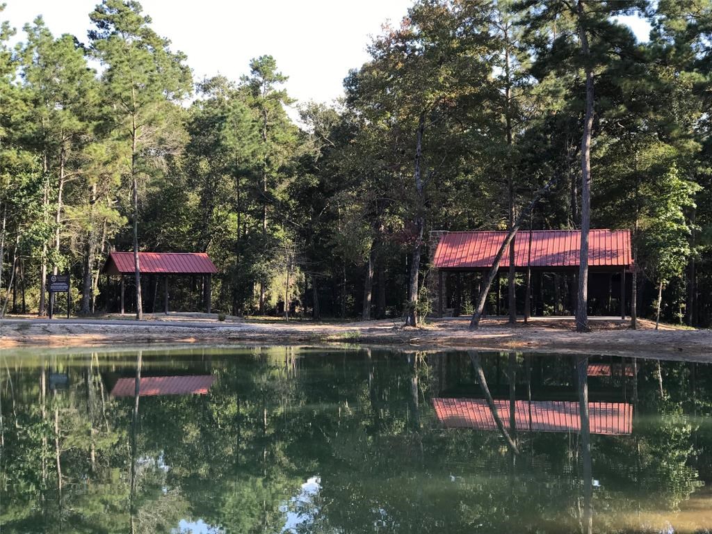 00 Sundog Road, Huntsville, TX, 77340 | 46931160 | Realty Texas LLC