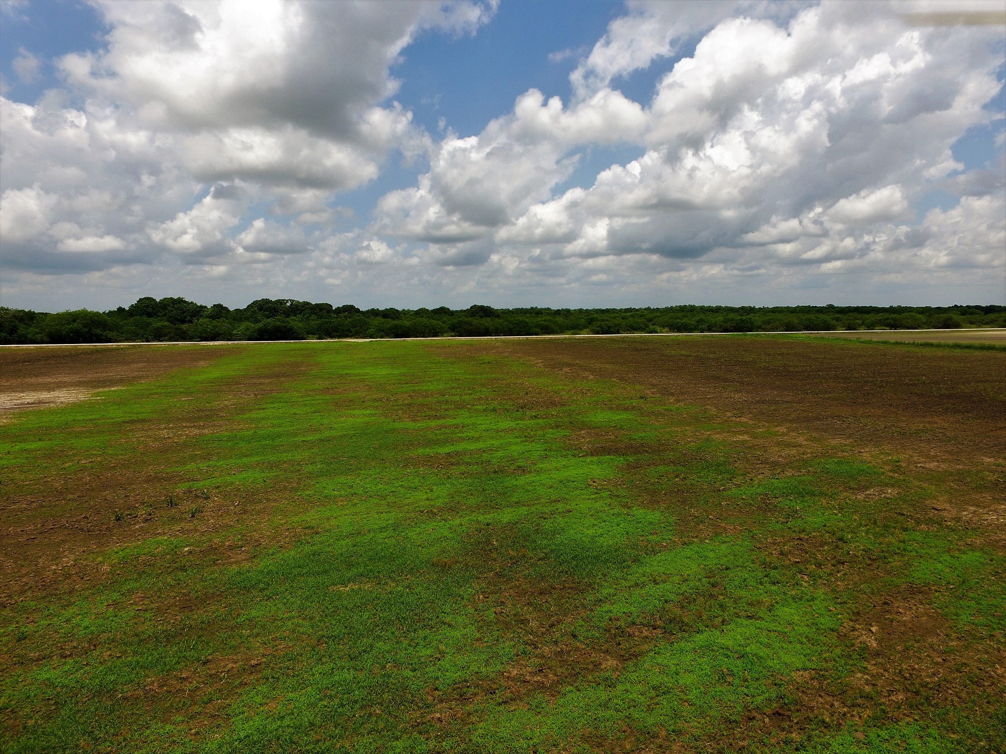000 Battle Road , Beasley, TX, 77417 | 55967233 | Realty Texas LLC