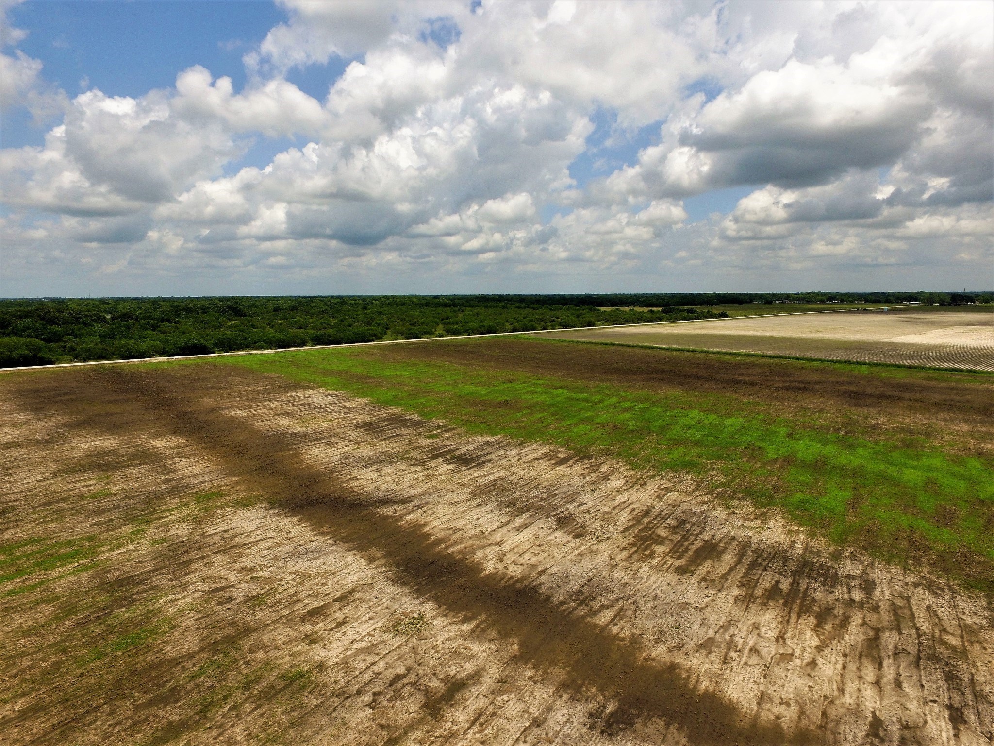 000 Battle Road , Beasley, TX, 77417 | 55967233 | Realty Texas LLC