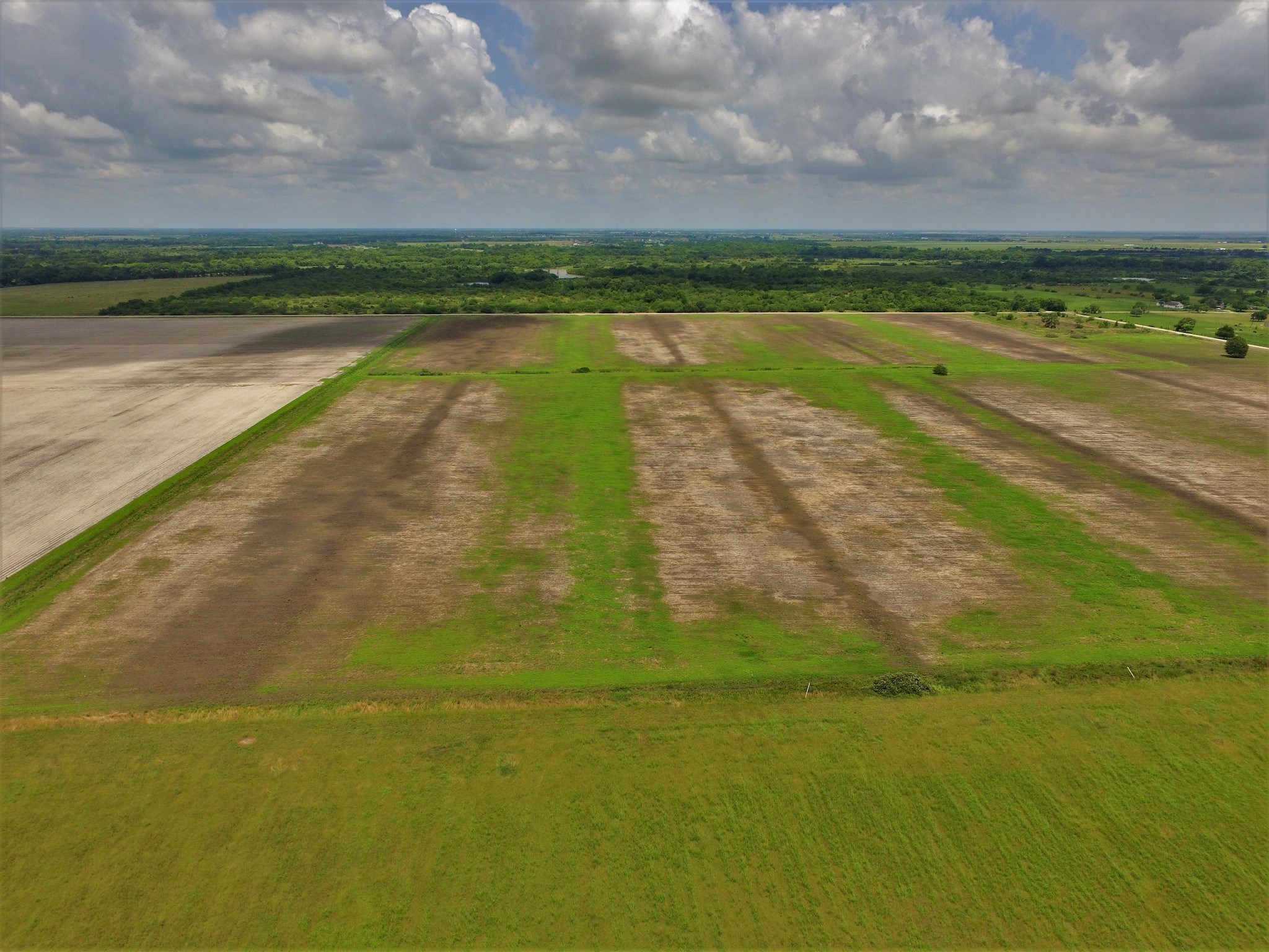000 Battle Road , Beasley, TX, 77417 | 55967233 | Realty Texas LLC