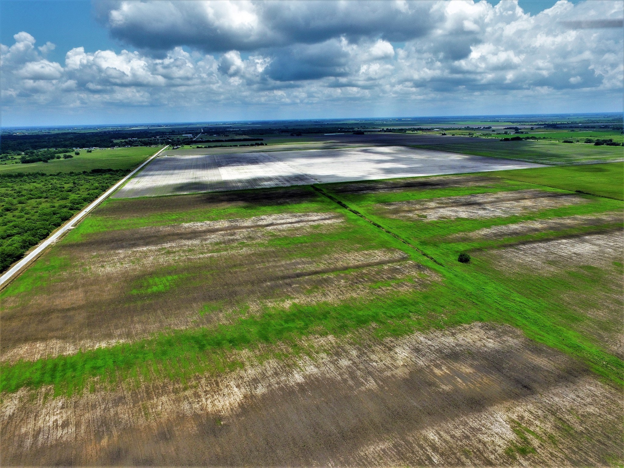 000 Battle Road , Beasley, TX, 77417 | 55967233 | Realty Texas LLC