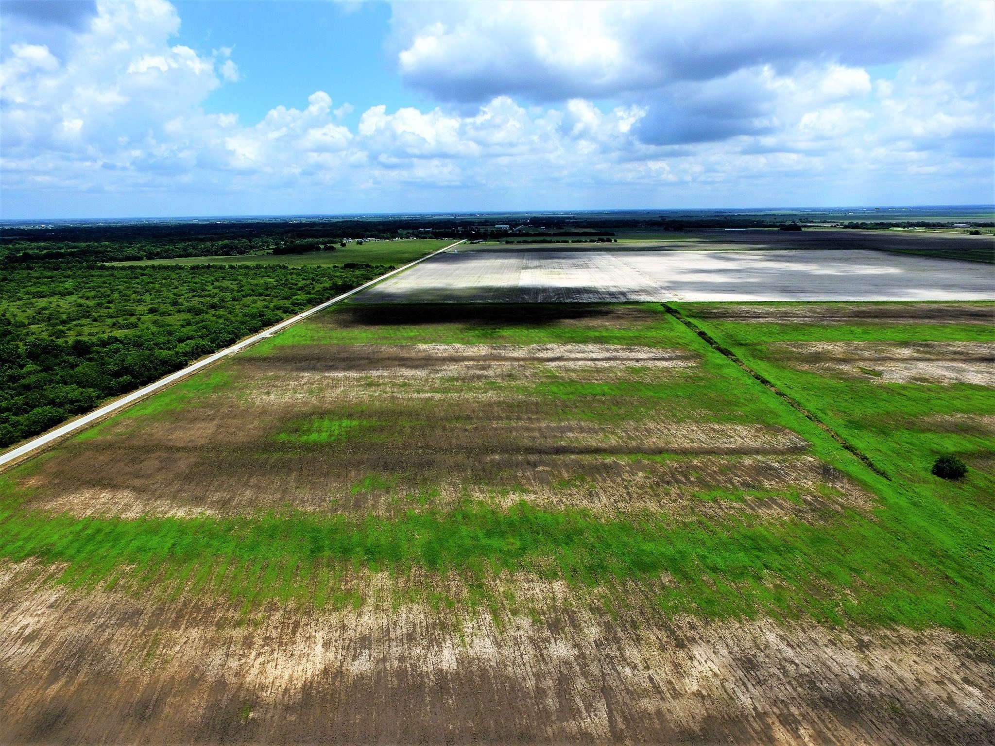 000 Battle Road , Beasley, TX, 77417 | 55967233 | Realty Texas LLC