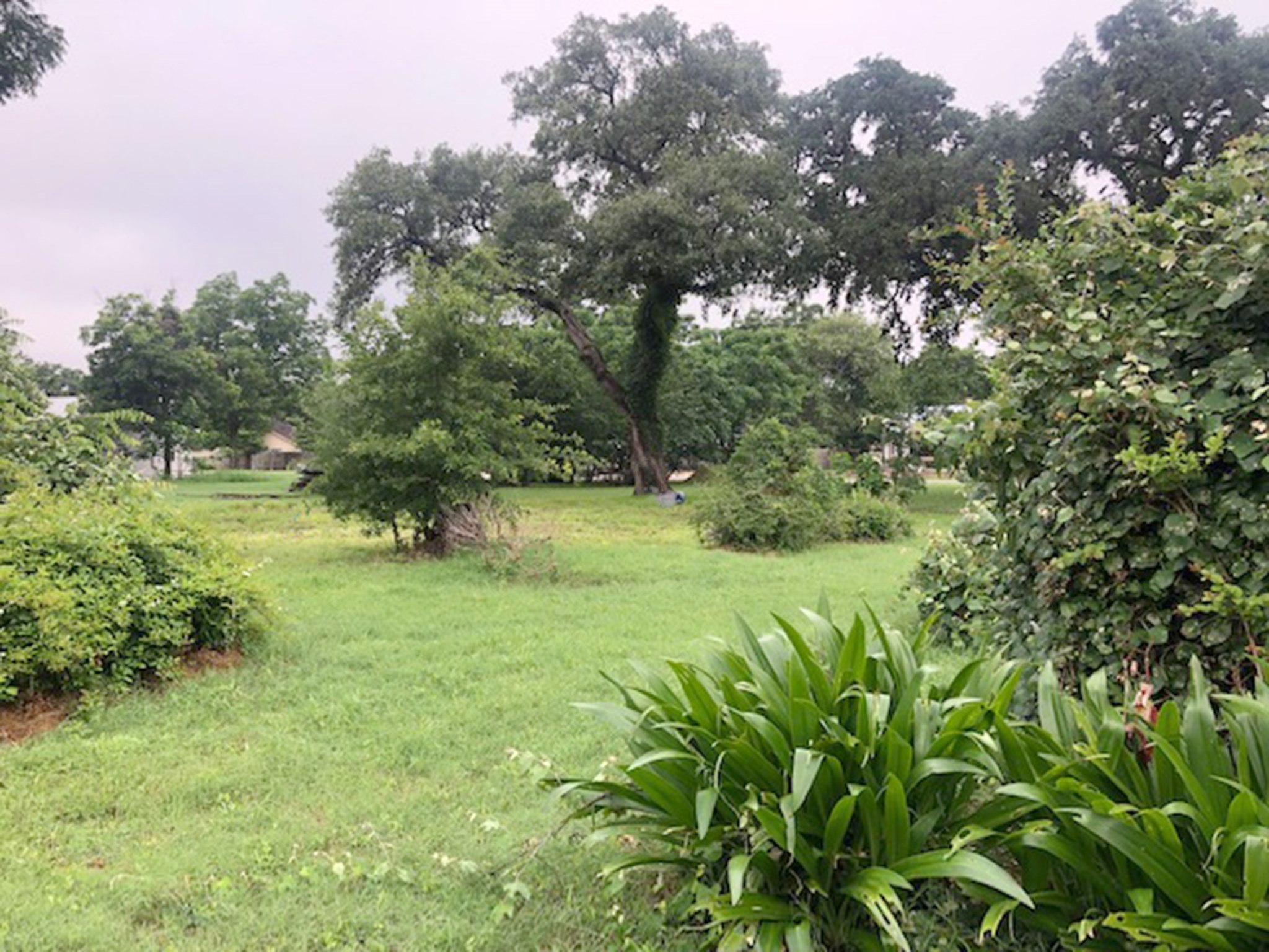 443 N Washington Street, La Grange, TX, 78945 | 25862285 | Realty Texas LLC