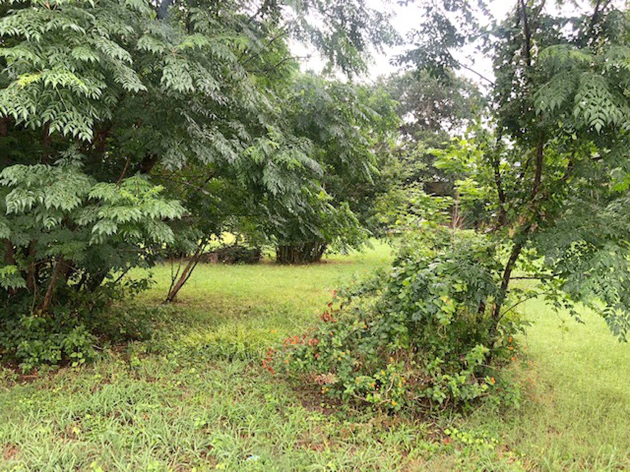 443 N Washington Street, La Grange, TX, 78945 | 25862285 | Realty Texas LLC