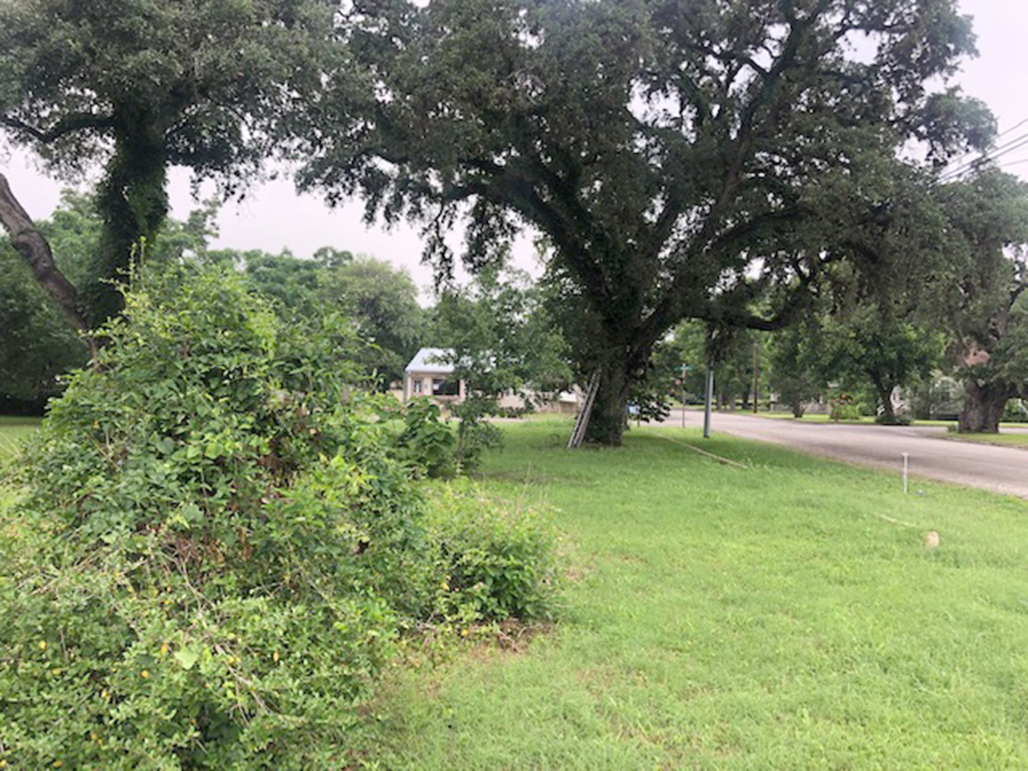 443 N Washington Street, La Grange, TX, 78945 | 25862285 | Realty Texas LLC