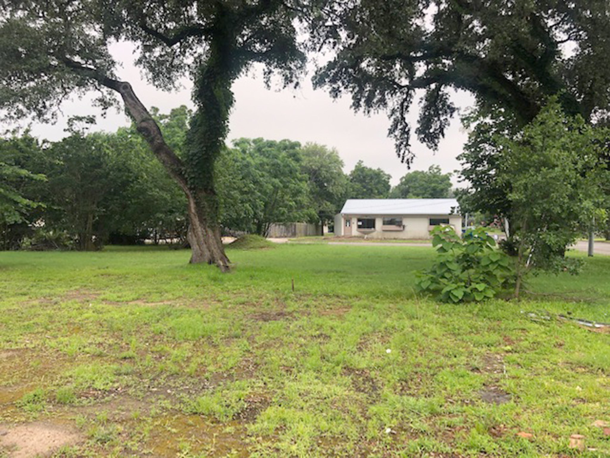443 N Washington Street, La Grange, TX, 78945 | 25862285 | Realty Texas LLC