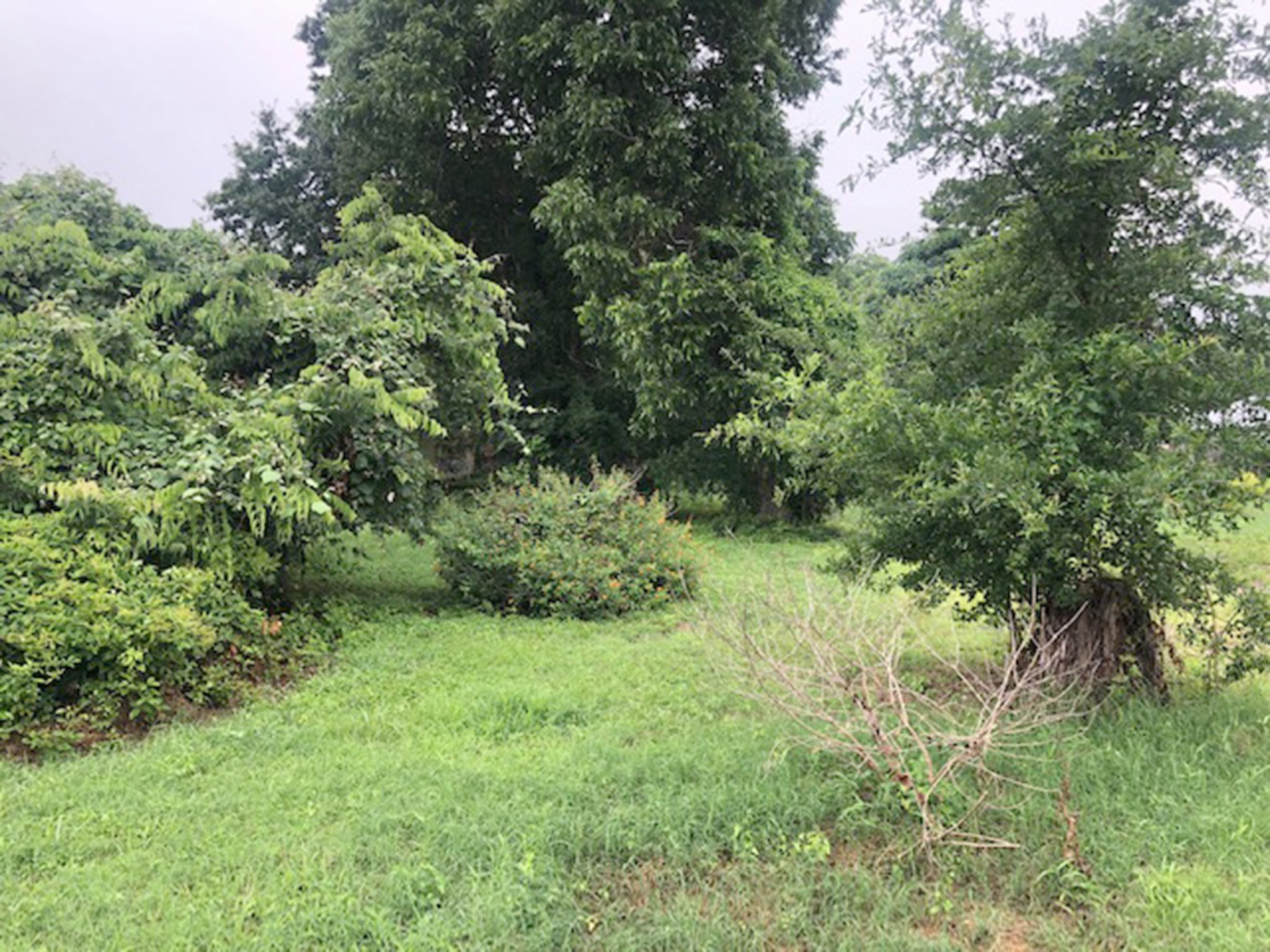 443 N Washington Street, La Grange, TX, 78945 | 25862285 | Realty Texas LLC