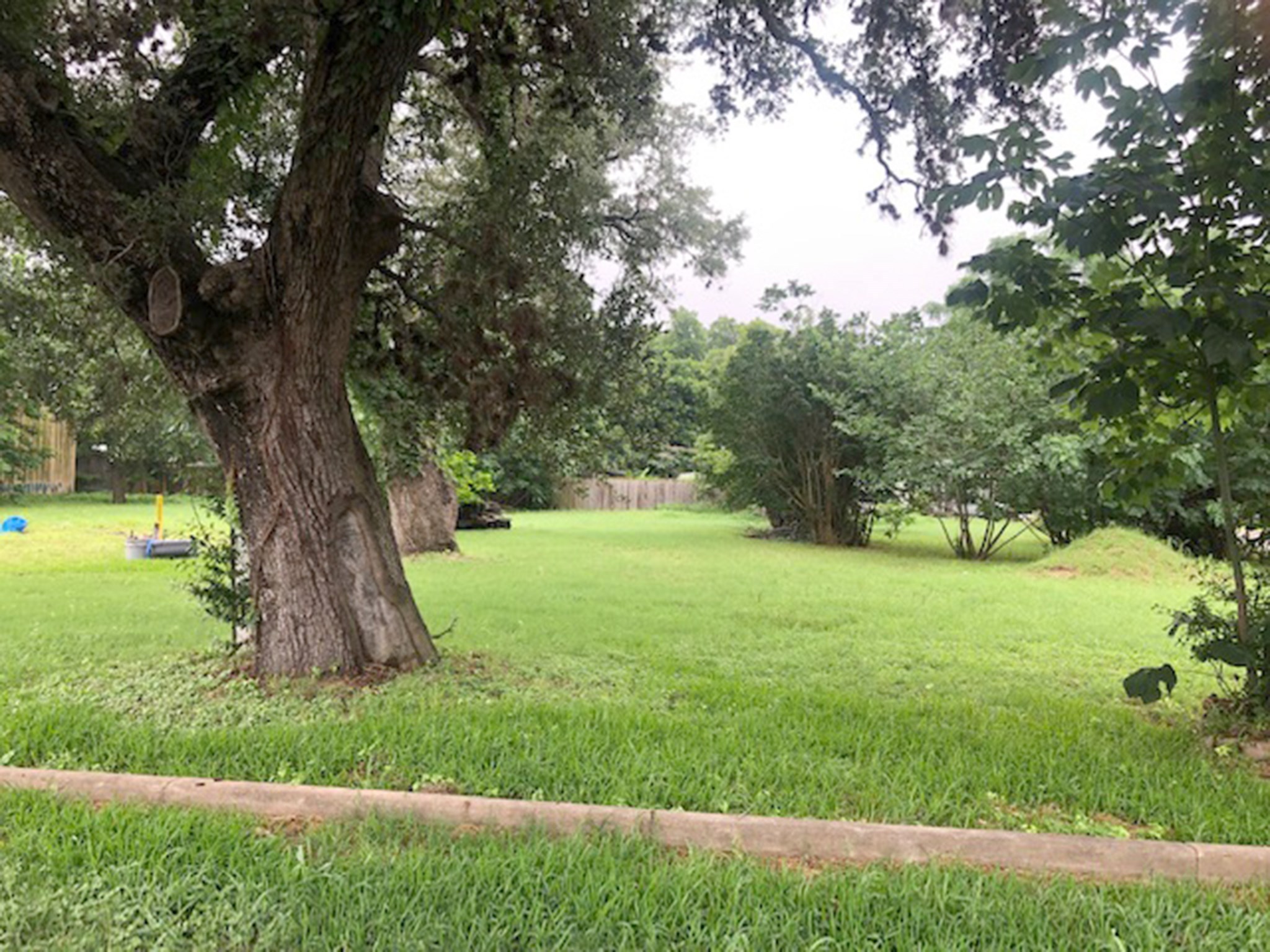 443 N Washington Street, La Grange, TX, 78945 | 25862285 | Realty Texas LLC