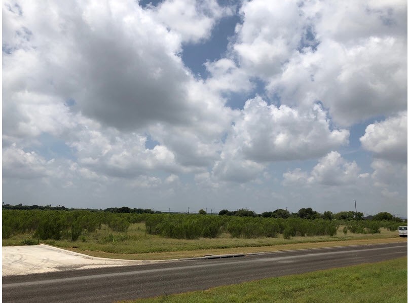 8801 State Hwy 44 , Corpus Christi, TX, 78406 | 348298 | Realty Texas LLC
