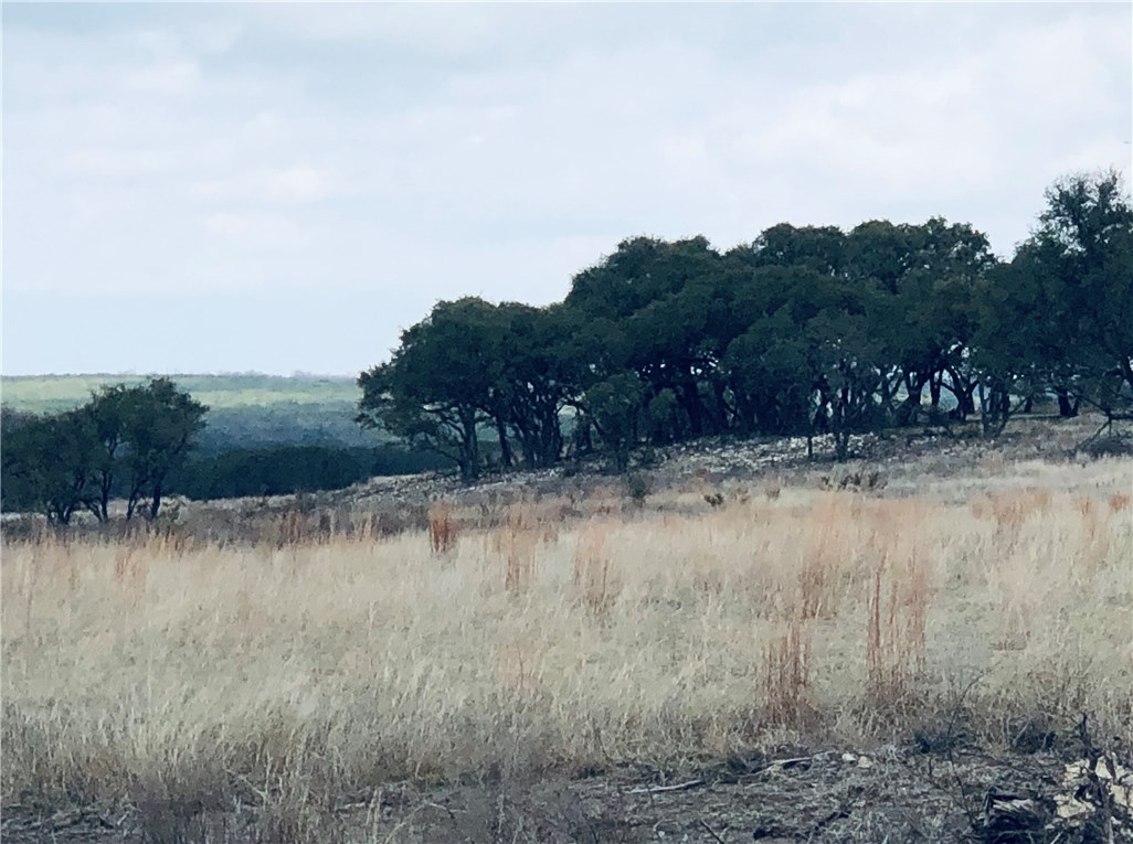 000 Carpenter Loop, Burnet, TX, 78611 | 6739445 | Realty Texas LLC