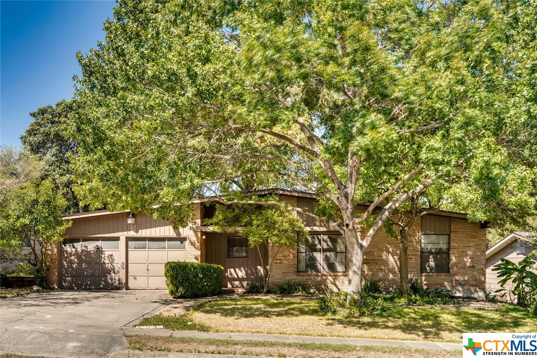 215 Tammy Drive , San Antonio, TX, 78216 | 391361 | Realty Texas LLC