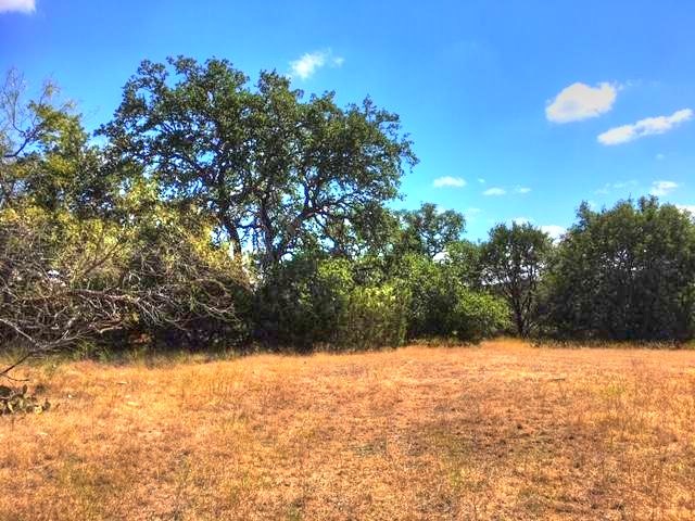 2W Tract 2 County Road 2200, Lometa, TX, 76853 | 7018263 | Realty Texas LLC