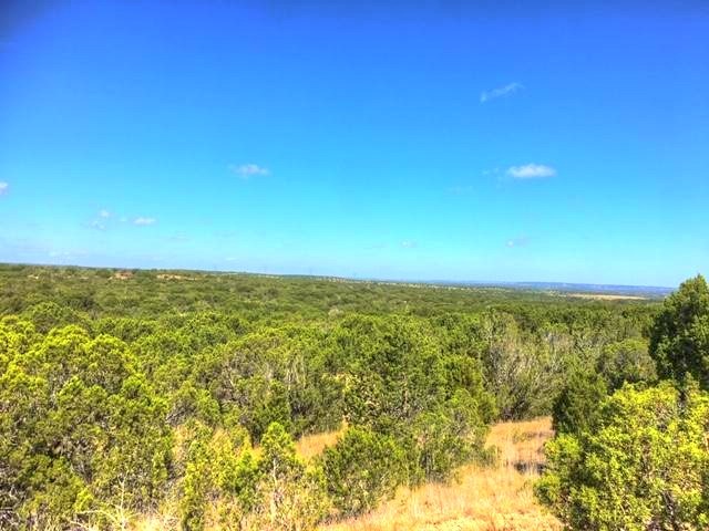 2W Tract 2 County Road 2200, Lometa, TX, 76853 | 7018263 | Realty Texas LLC