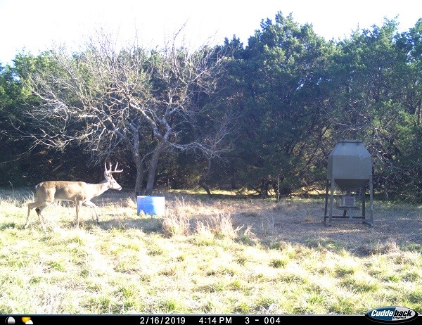 2W Tract 2 County Road 2200, Lometa, TX, 76853 | 7018263 | Realty Texas LLC
