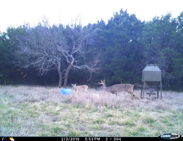 2W Tract 2 County Road 2200, Lometa, TX, 76853 | 7018263 | Realty Texas LLC
