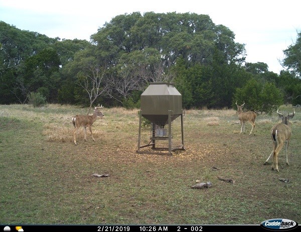 2W Tract 2 County Road 2200, Lometa, TX, 76853 | 7018263 | Realty Texas LLC