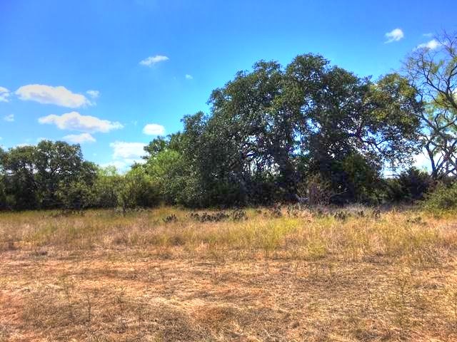 2W Tract 2 County Road 2200, Lometa, TX, 76853 | 7018263 | Realty Texas LLC