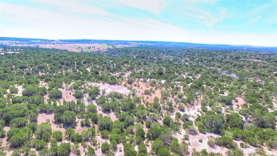 2W Tract 4 County Road 2200, Lometa, TX, 76853 | 9568337 | Realty Texas LLC