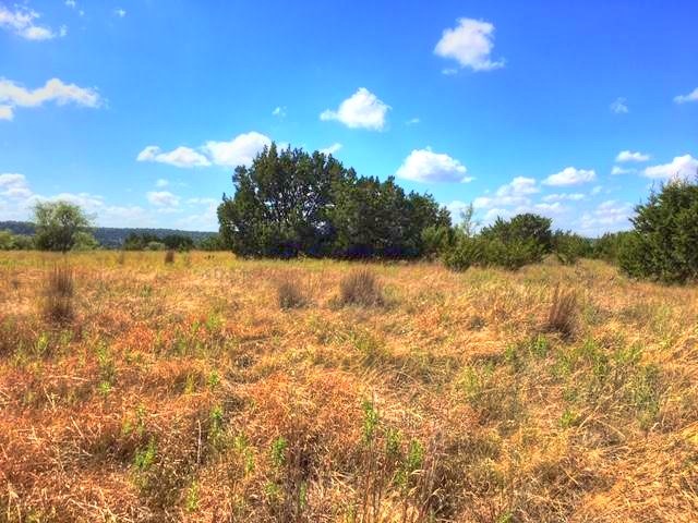2W Tract 4 County Road 2200, Lometa, TX, 76853 | 9568337 | Realty Texas LLC